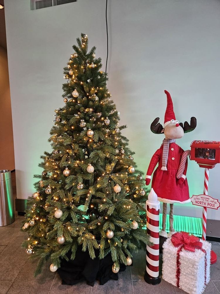 Winterlesezauber 2025